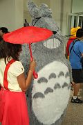 IMG_1858 