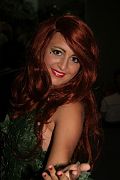 IMG_4106 