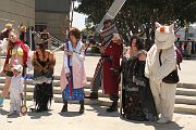 IMG_4772 
