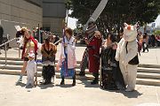IMG_4775 