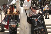 IMG_4795 
