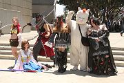 IMG_4798 