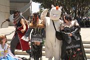 IMG_4803 