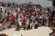 IMG_4954 