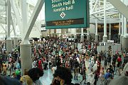 IMG_5247 