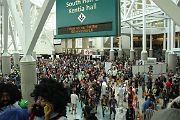 IMG_5248 