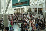 IMG_5251 