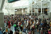 IMG_5253 