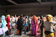 IMG_5312 