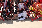 IMG_5394 