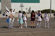 IMG_5427 