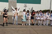IMG_5431 