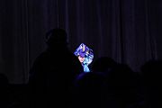 IMG_6071 