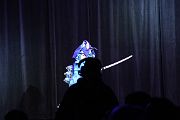 IMG_6074 
