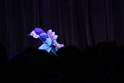 IMG_6078 