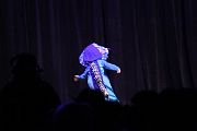 IMG_6082 