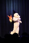 IMG_6470 
