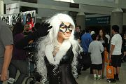 IMG_8132 