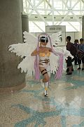 IMG_8155 