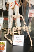 IMG_8175 