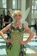 IMG_8195 