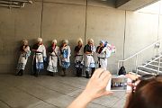IMG_8237 