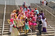IMG_8262 