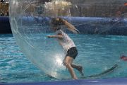 IMG_4212 