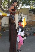 IMG_8134 