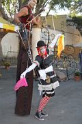 IMG_8137 