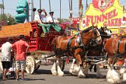 IMG_4681 