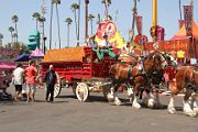 IMG_4692 