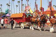 IMG_4693 