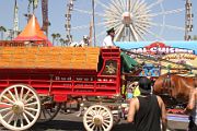 IMG_4711 