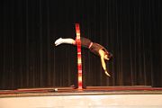 IMG_4913 