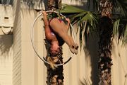 IMG_7040 