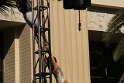 IMG_7865 