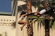 IMG_7886 