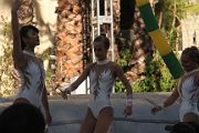 IMG_7917 