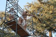 IMG_8535 