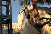 IMG_8786 