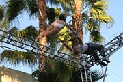 IMG_8793 