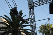 IMG_8811 