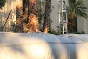 IMG_8837 