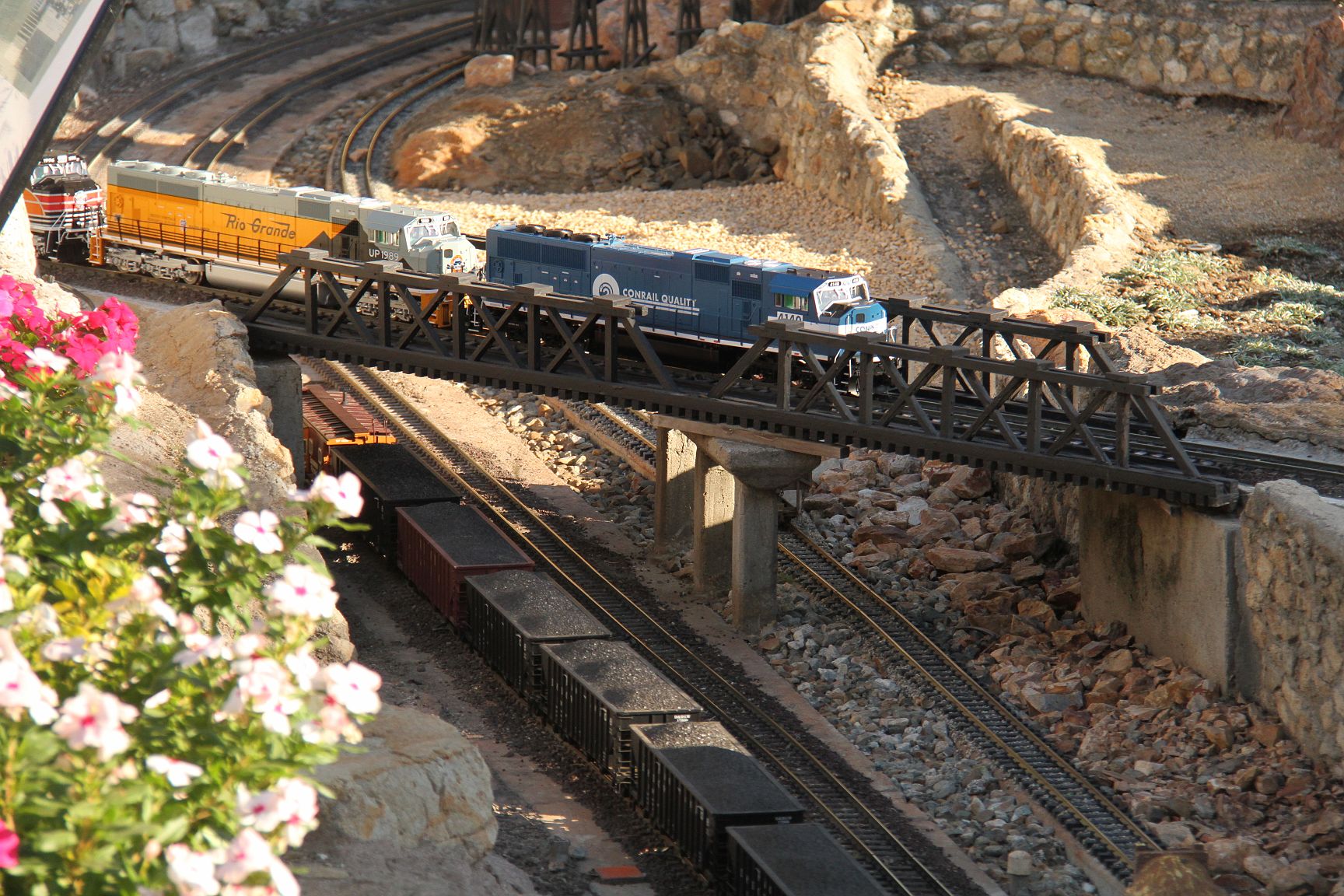 IMG_8083