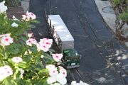 IMG_8019 