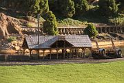 IMG_8079 