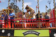 IMG_0116 