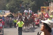 IMG_0501 