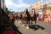 IMG_0520 